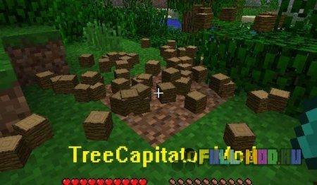 [1.6.1]TreeCapitator