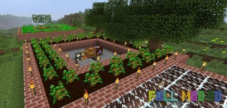 Forestry [1.6.4]