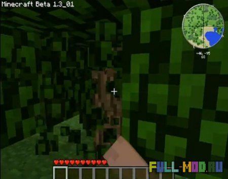 ��� ������ ������ � Minecraft