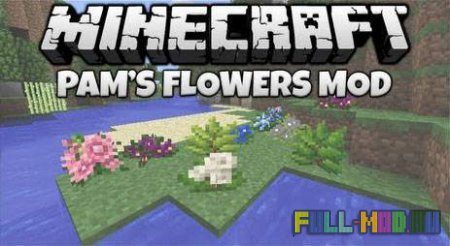 Pam's Flowers