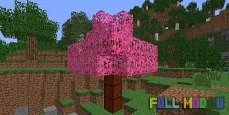 CandyCraft