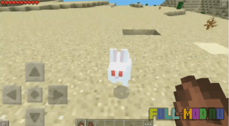 Rabbit