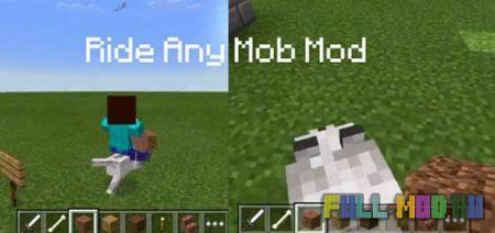 Ride Any Mob