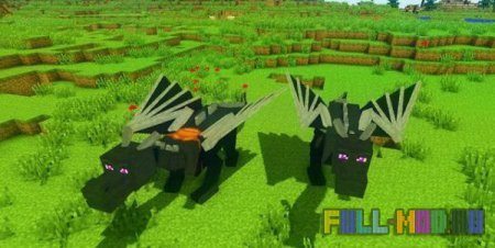 Dragon Mounts